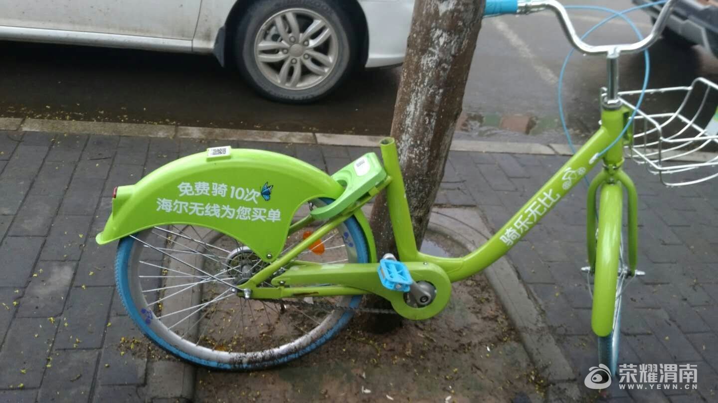 mmexport1504249244965.jpg
