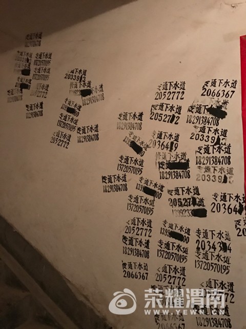 201709051954431504578185078443.jpg