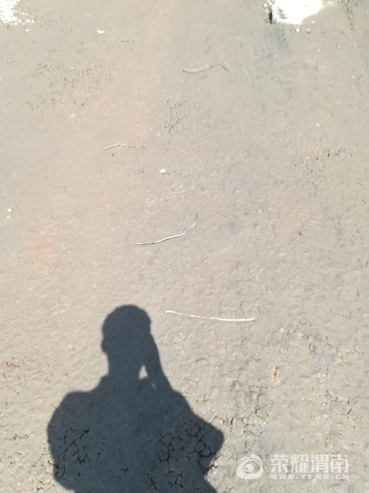20170906_194187_1504669317672.jpg