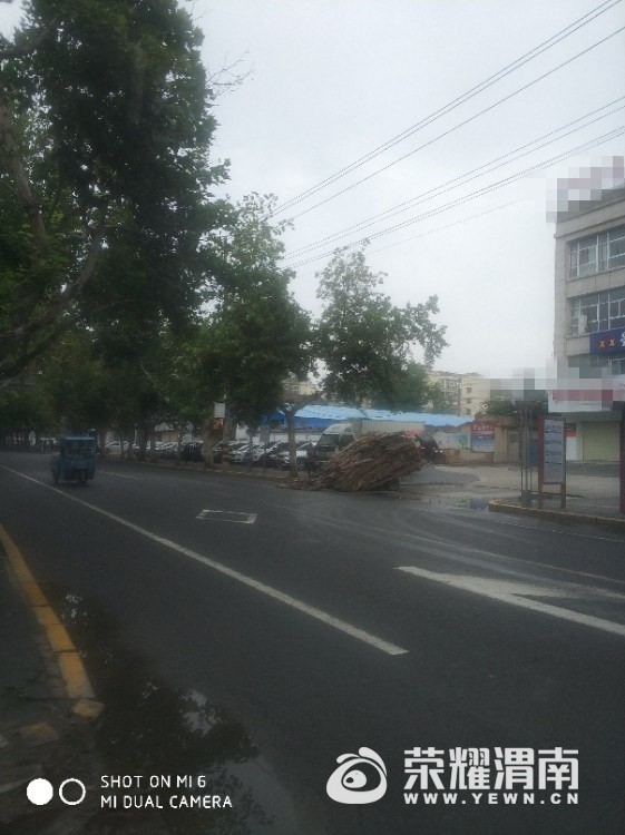 065141ufwavloff29z92lv.jpg