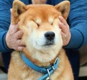 ΢�Ž�ͼ_20170911170155.jpg
