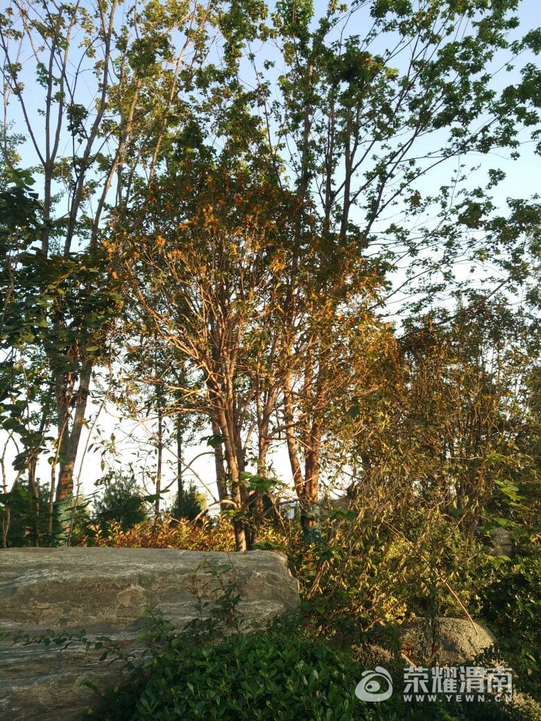 140437jztz3fqke6d0puac.jpg