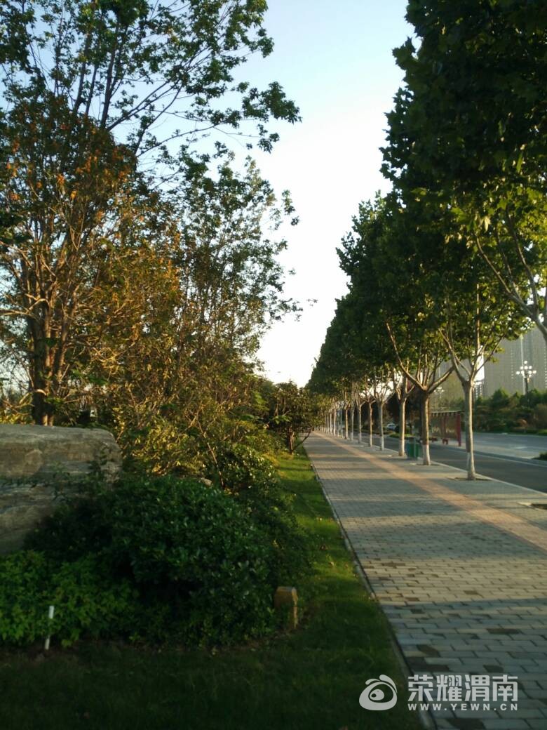 140438jpltgks4op3opee4.jpg