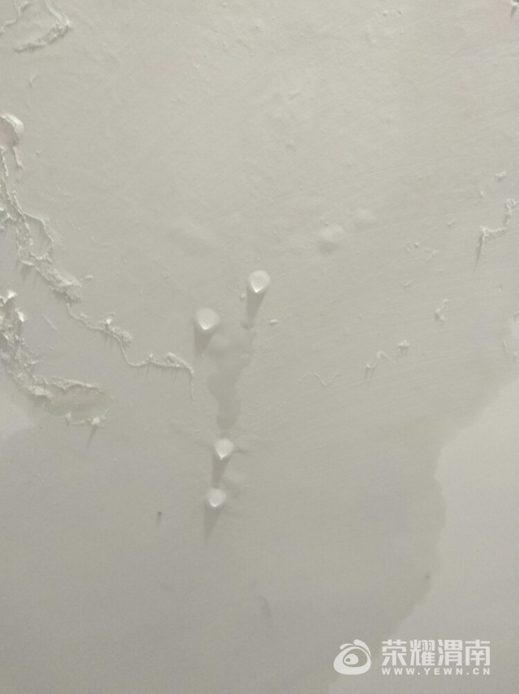 20170924_204613_1506255569976.jpg