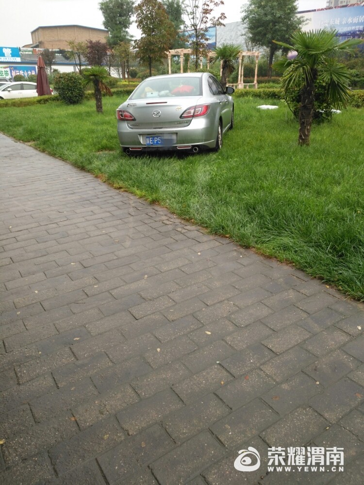 135410zngswdbknets2lwn.jpg