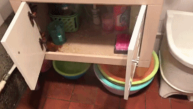 d964690b15c0da8d1d8d755d5cb14beb_20170929143440.gif