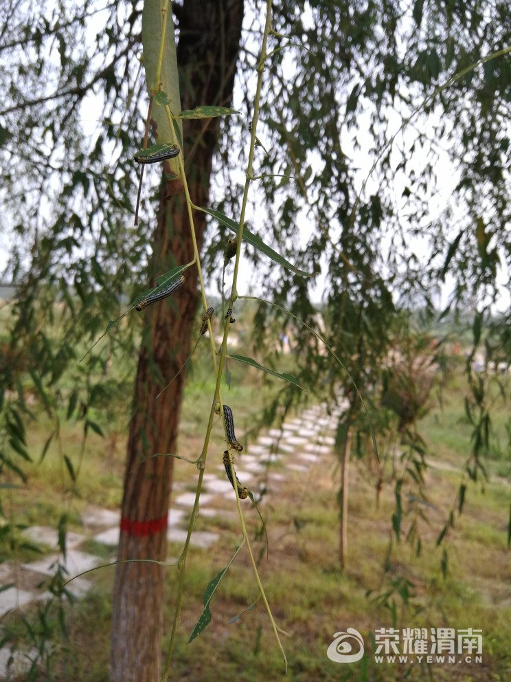 20171001_205311_1506870036905.jpg