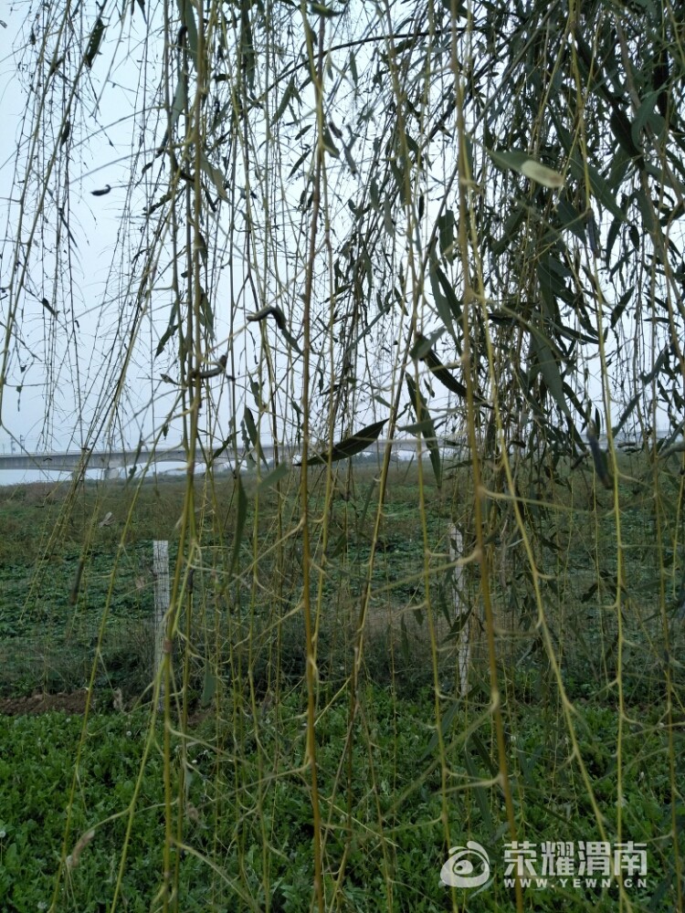 20171007_205627_1507369398198.jpg