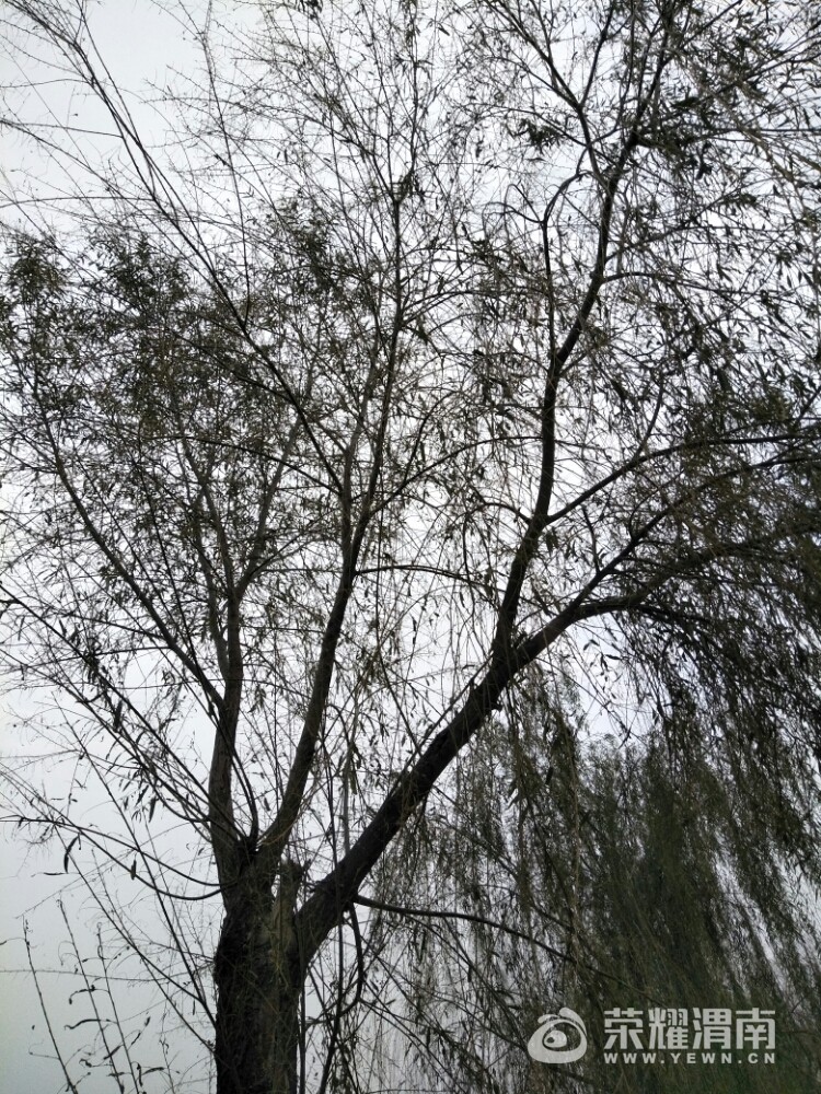 20171007_205627_1507369399377.jpg