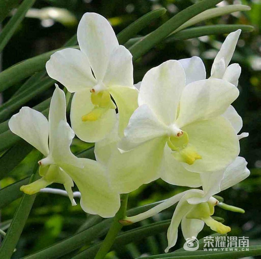 20100702.020212.jpg