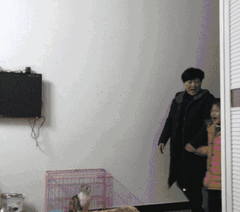 20171017_192568_1508207041063.gif
