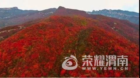 ΢ͼƬ_20171018141453.jpg