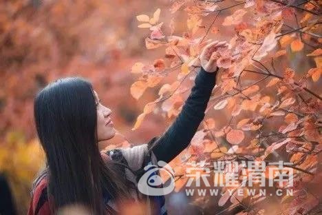΢ͼƬ_20171018141457.jpg