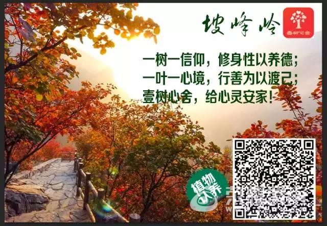 ΢ͼƬ_20171018141645.jpg