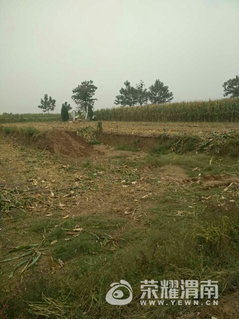 20171019_107504_1508401187556.jpg