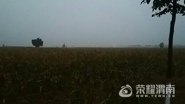 20171020_113637_1508510640448.jpg