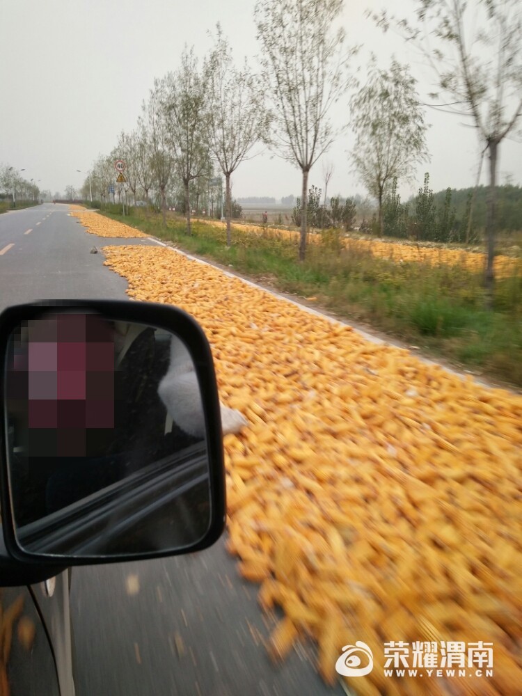 163655iu7wosappsru33hu.jpg