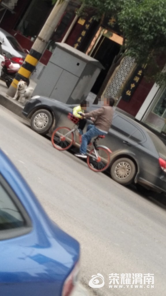 155959ipa1d8prge241w5a.jpg