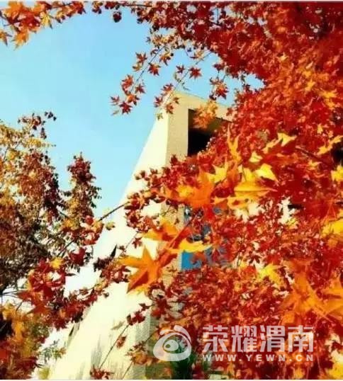 ΢ͼƬ_20171030151512.jpg