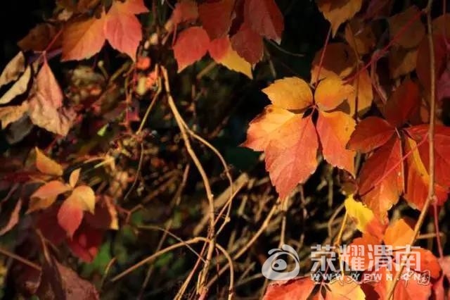 ΢ͼƬ_20171030151518.jpg