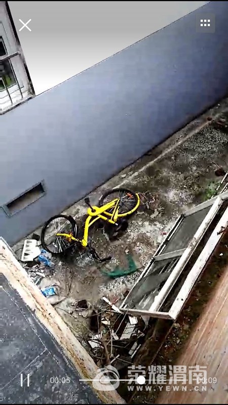 325225795378480968_����.jpg