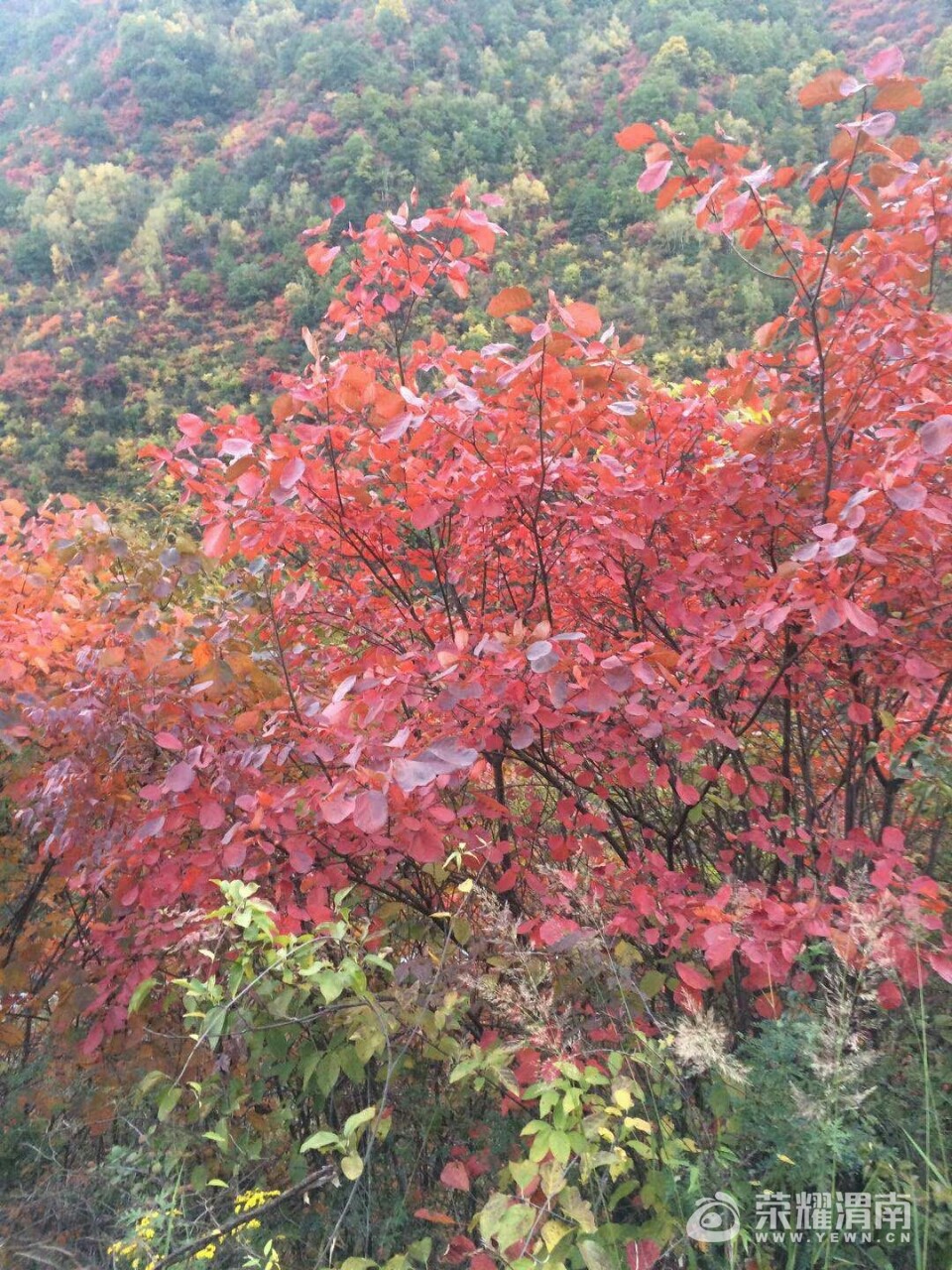 20171106_206870_1509952375045.jpg