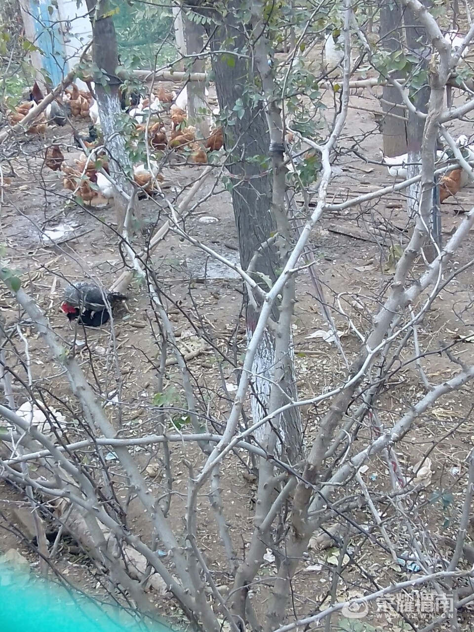 20171111_190522_1510397902250.jpg