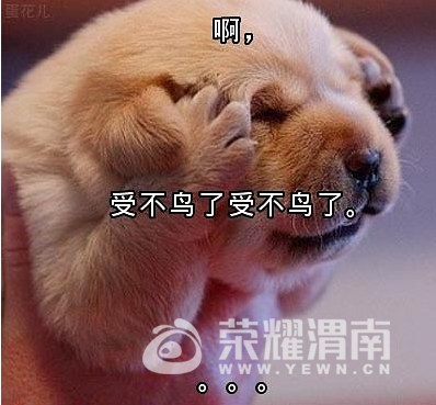 t01786939a5d1ec8abe.png