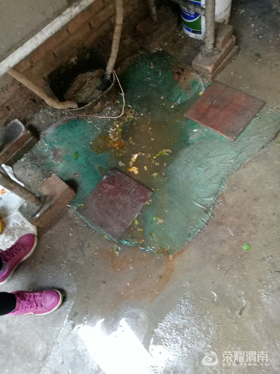 20171115_207571_1510730308521.jpg