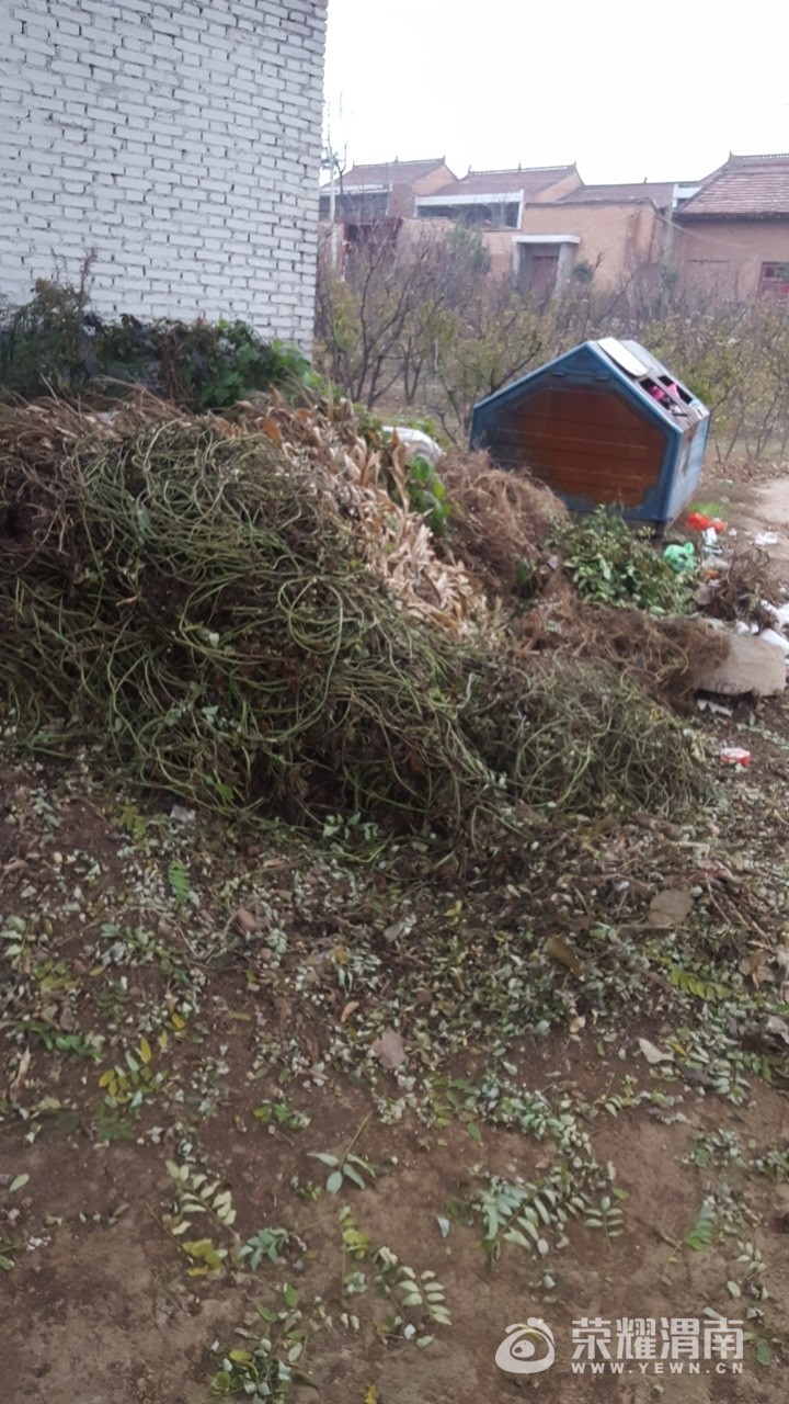 20171119_207131_1511051816328.jpg