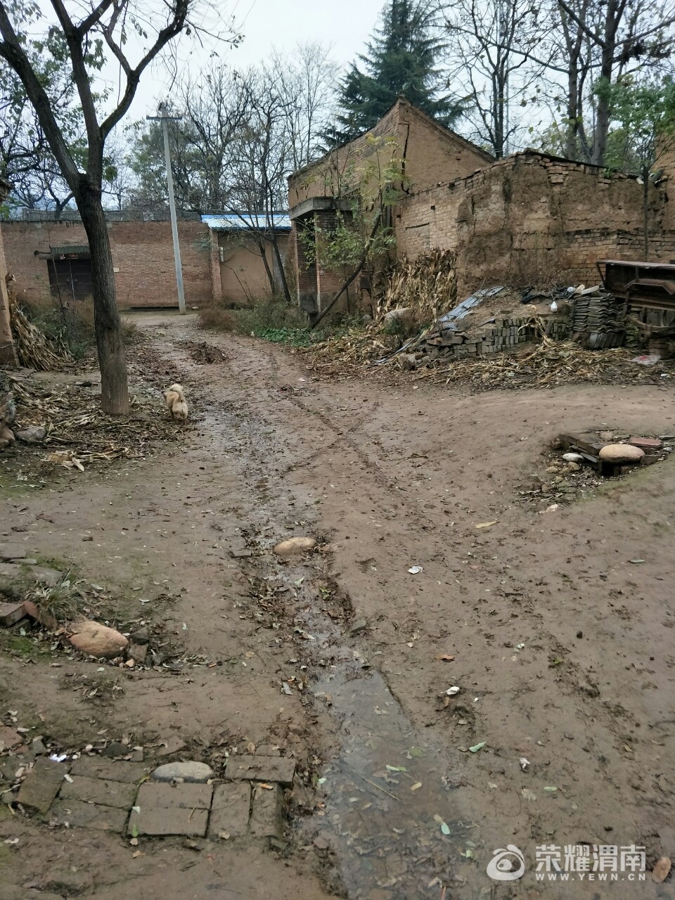 20171119_207112_1511083691443.jpg