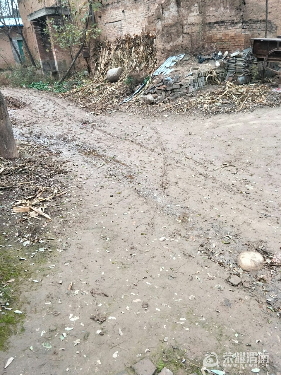20171119_207112_1511083689904.jpg