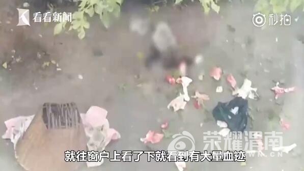 QQ��ͼ20171122110156.jpg