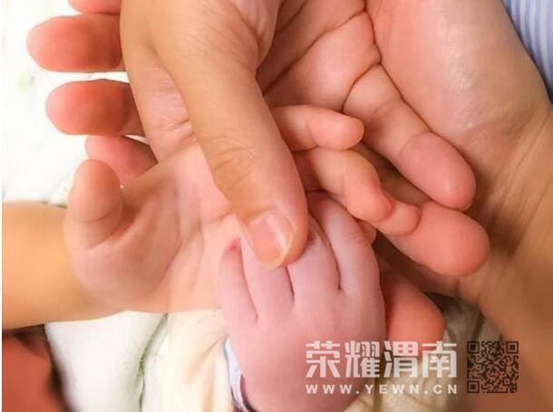 QQ��ͼ20171127084342.jpg