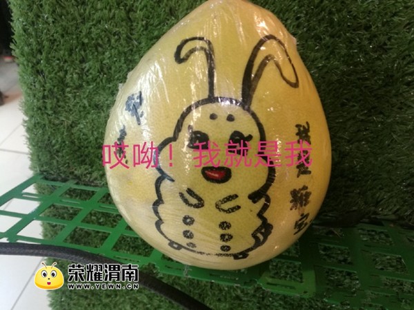 006ElwWwly1fmivewmed3j31s01c07wh.jpg