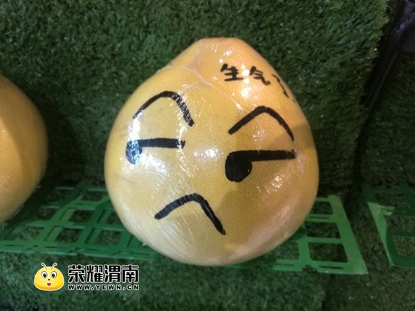 96e052abf7bf5be84600a352dc9a4d3c_006ElwWwly1fmivhjmf7xj33k02o0e83_����.jpg