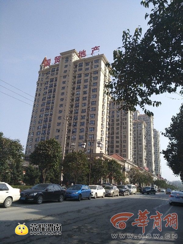 xz595ay5.jpg