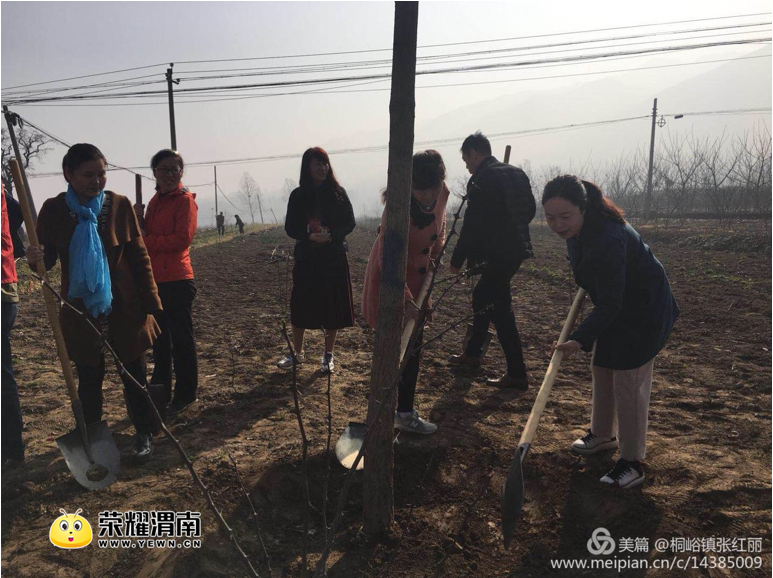 QQ��ͼ20180404091916.png