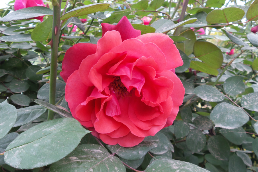 20180420_101042.jpg