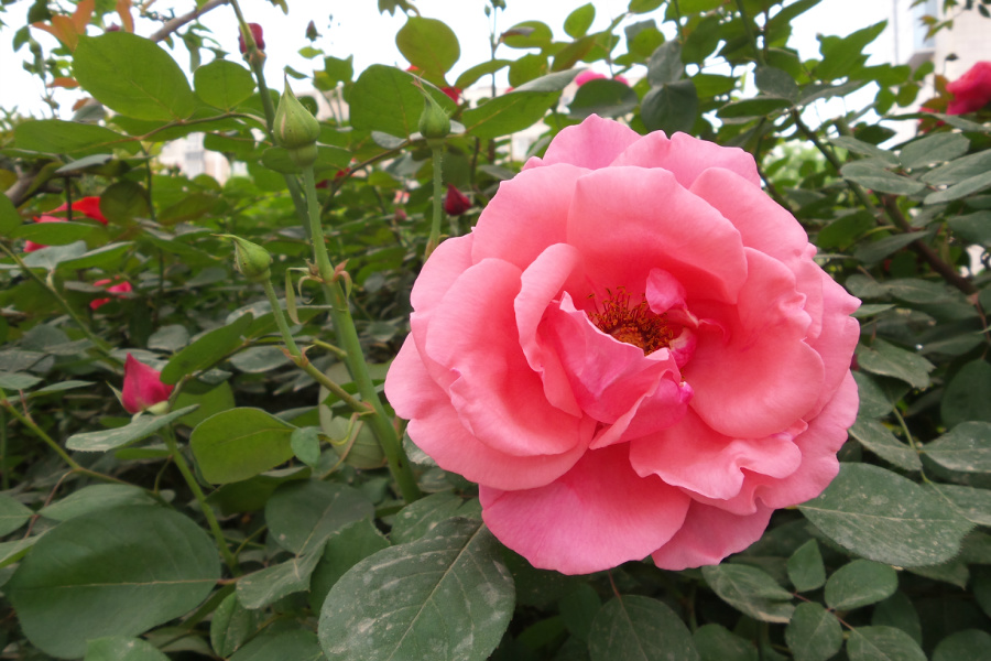 20180420_101023.jpg