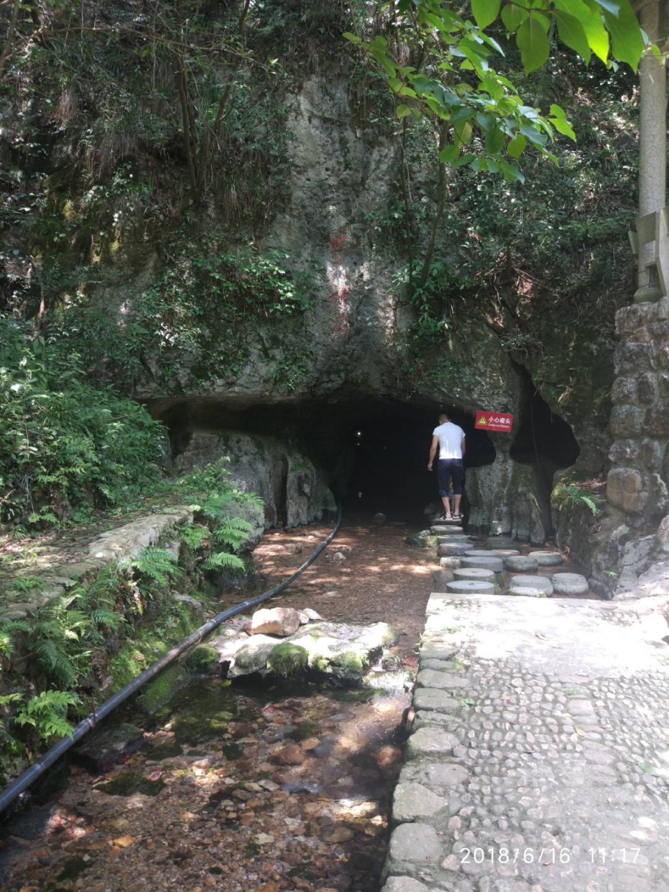 20180715_223985_1531607446803.jpg