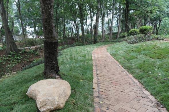 image037.jpg