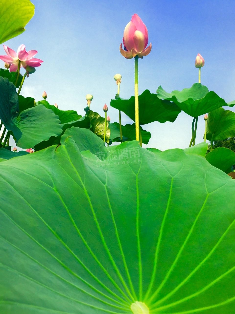 20180727_192931_1532662579372.jpg
