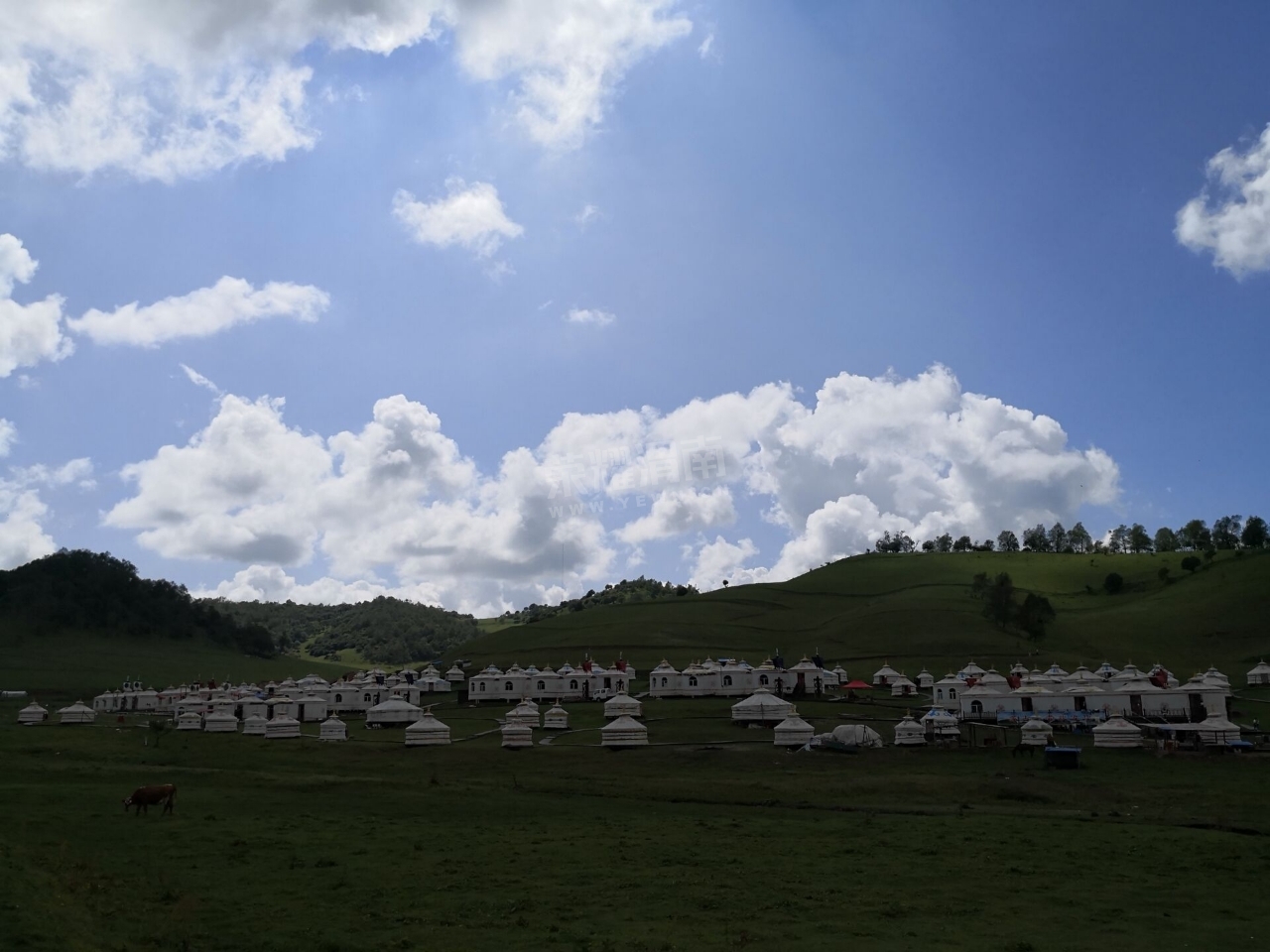 20180810_208346_1533831198365.jpg