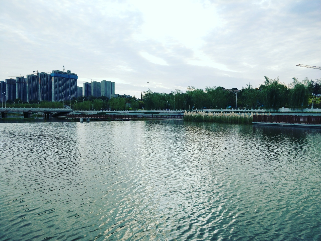 20180906_8888_1536237922983.jpg