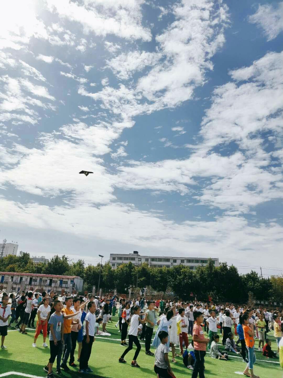 20180911_213863_1536620051079.jpg
