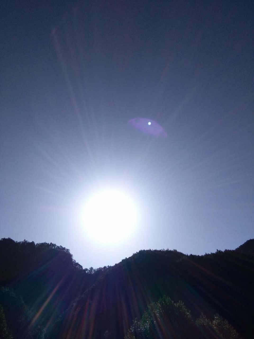 20180921_222869_1537498174887.jpg