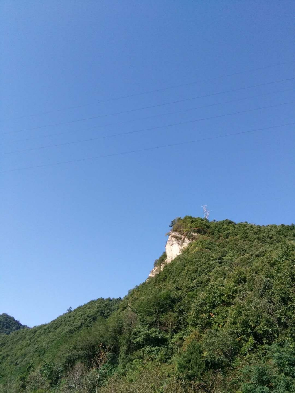 20180921_222869_1537498175032.jpg