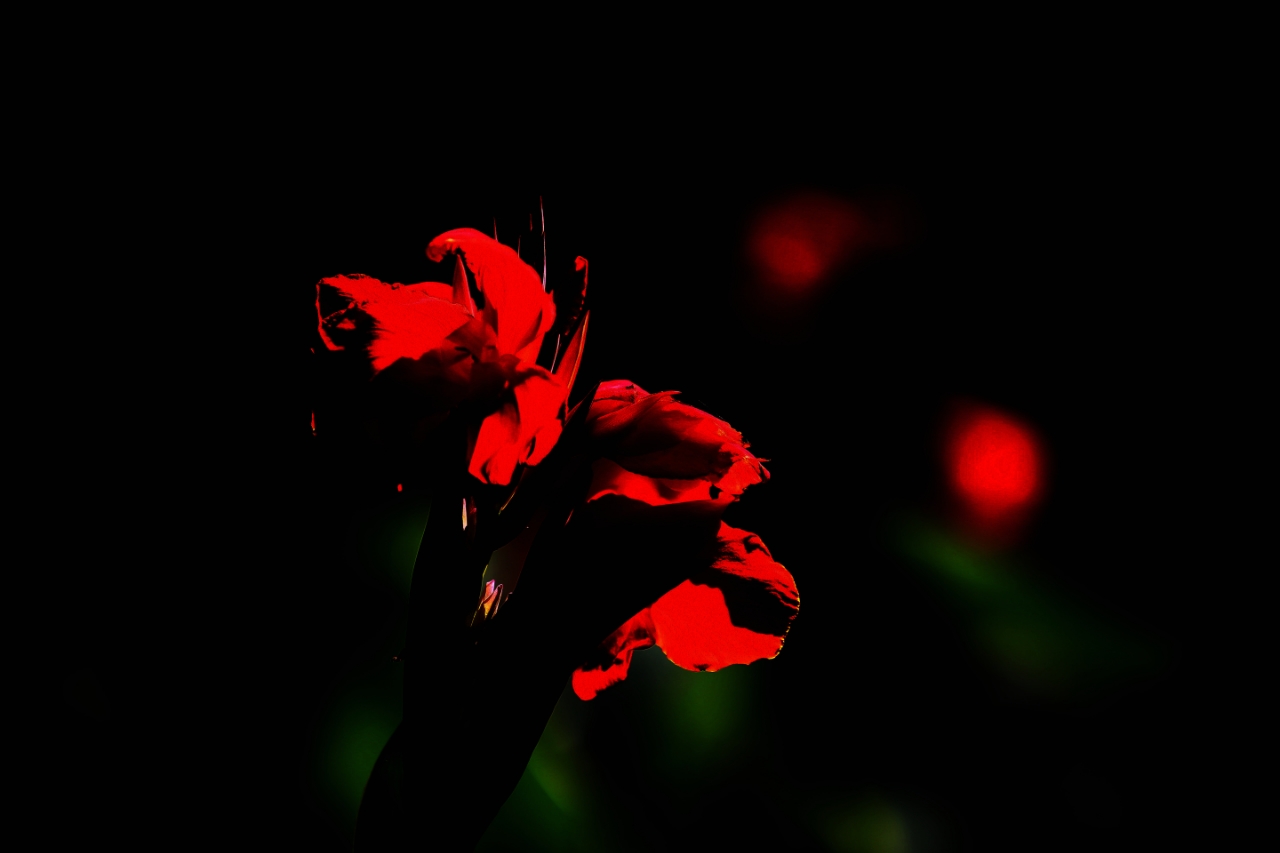 20180922_161040_1537613517076.jpg