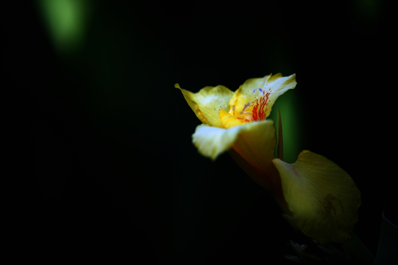 20180922_161040_1537613517350.jpg